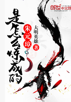 朱元璋是怎么北伐的